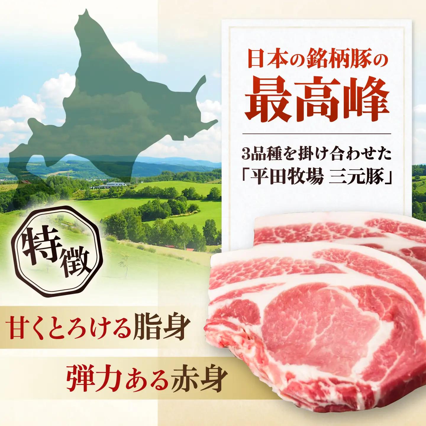 【全5回】 バラエティ定期便 2-3人前 豚肉 定期便 AJAP126