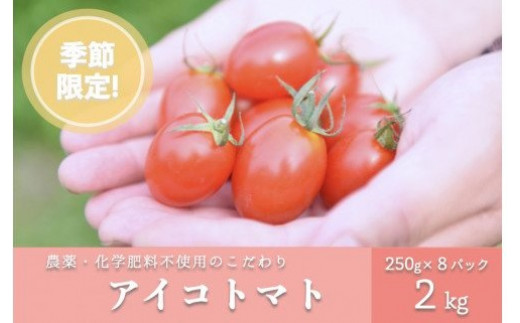 
            農薬・化学肥料不使用 河津さんの愛情たっぷり アイコトマト 2kg ミニトマト トマト とまと 野菜 無農薬 農薬不使用 化学肥料不使用 愛情たっぷり 新鮮 産地直送 熊本 阿蘇 南小国町 送料無料
          