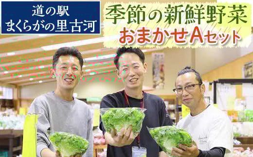 道の駅まくらがの里古河　季節の新鮮野菜おまかせAセット ※北海道・沖縄・離島への配送不可 |  野菜 おいしい 産地直送 新鮮 詰め合わせ 定期便 便利 簡単 手軽 やさい ヤサイ 茨城県 古河市 お楽しみ 野菜定期便 セット _BQ03