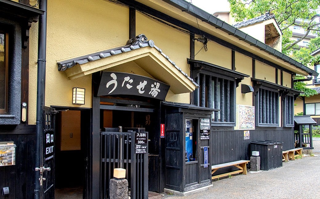 
            筋湯温泉 宿泊割引券 22,000円分 宿泊 割引券 割引 券 宿 お宿 ホテル 温泉施設 温泉 大分県 九重町
          