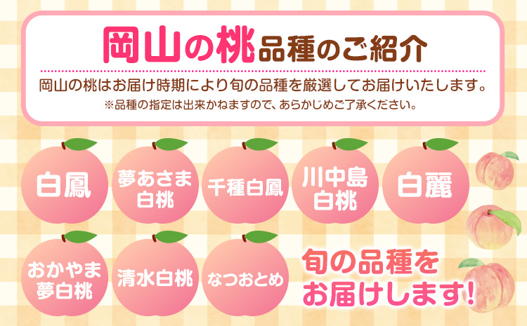 【2025年先行予約】桃 もも 岡山 3kg 以上 11~12玉 岡山県産 亀川農園《6月上旬-8月中旬頃より発送予定》岡山県 浅口市 白桃 果物 フルーツ 冷蔵【配送不可地域あり】（北海道・沖縄・離