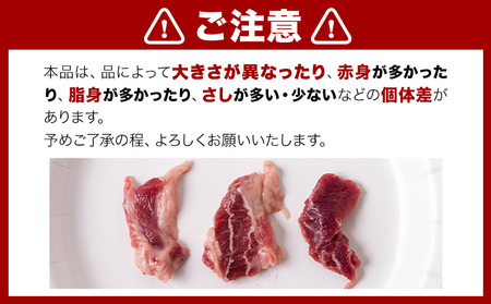 馬ひも焼肉用300g（50g×6袋） 肉 馬ひも 馬肉 熊本県苓北町《90日以内に出荷予定(土日祝除く)》 ｜人気馬刺し  人気返礼品 熊本馬刺し ブランド馬刺し 苓北馬刺し 特産馬刺し