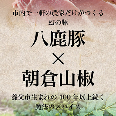 八鹿豚味わう養父餃子(要冷凍/12個入り)×2パック【配送不可地域：離島】