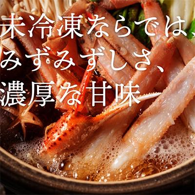 ふるさと納税 北栄町 【2026年11月発送】特撰 松葉がに(生)【タグ付き】600g3杯 N15_I |  | 01