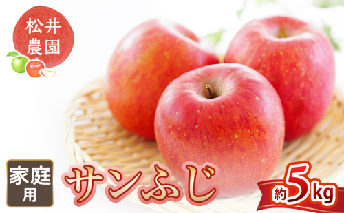 りんご 家庭用 サンふじ 約5kg フルーツ 果物 甘い 林檎
