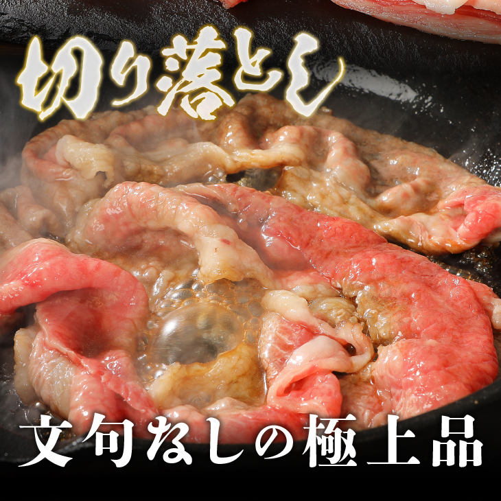 【冷凍】 前沢牛切り落としスライス (500g) 国産牛 [U0196]