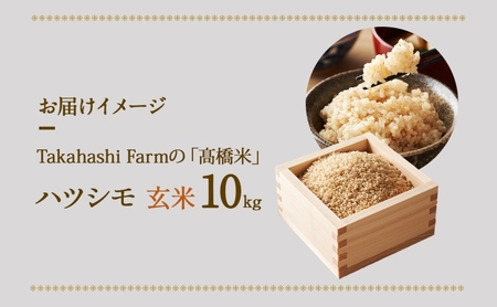 ＜ R8年産 先行予約 ＞米 ハツシモ 「高橋米」 玄米 10kg×1袋 令和8年産 10キロ お米 精米 玄米 ごはん ご飯 はつしも ブランド米 大粒 白米 炊飯 お弁当 ふっくら お取り寄せ 送