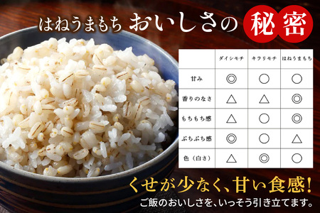 [青森県産もち麦] つがるもち麦 美仁 900g×6袋 [0339]
