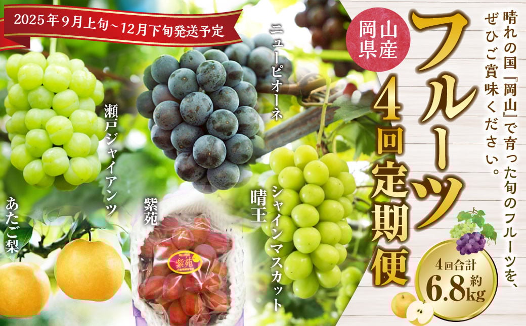 
            【4回定期便】岡山県産 フルーツ定期便コース （ニューピオーネ ・ シャインマスカット ・ 紫苑 ・ あたご梨） 【2025年9月上旬発送開始】 ／ 4回 葡萄 ぶどう マスカット 晴王 梨 なし 果物 果実 フルーツ 旬 定期便 岡山県 美咲町 冷蔵 常温
          