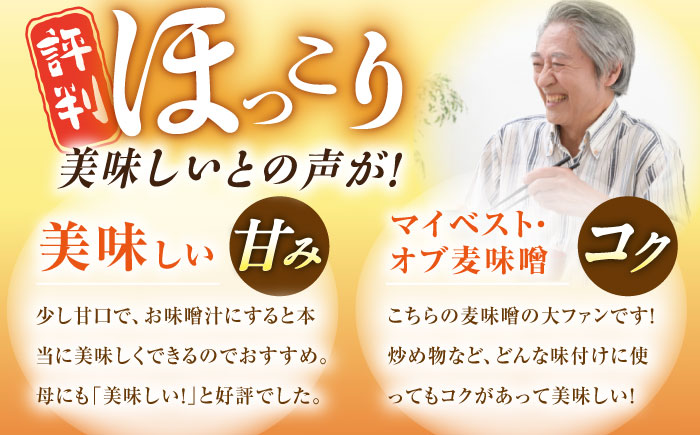 【原材料国産】麦みそ 3kg（1㎏×3袋）手作り 減塩 みそ 味噌 麦みそ 九州 こうじ 麦麹 調味料 味噌汁 みそ汁 東彼杵町/有限会社大渡商店 [BAA012]