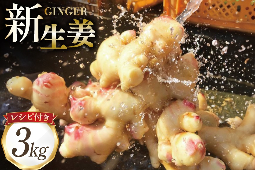 BI381 島原百年生姜 新生姜 3kg [ 生姜 しょうが ショウガ 野菜 やさい ジンジャー 薬味 国産 人作 長崎県 島原市 ]