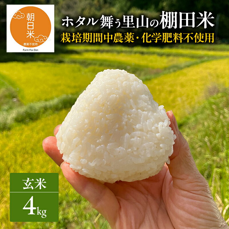 【ふるさと納税】先行受付 農薬不使用 ホタル舞う里山の棚田米 玄米4kg 令和8年産 朝日2kg×2袋　お届け：2026年10月20日～2027年4月14日