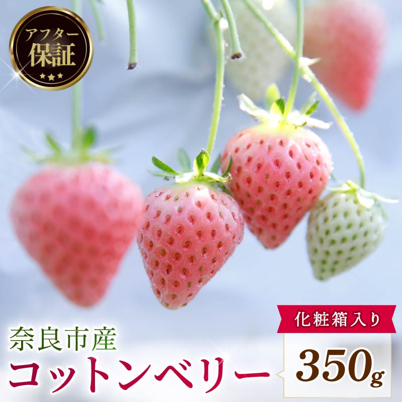 【数量限定】 2027年 3~4月発送 苺 いちご コットンベリー 約350g 化粧箱 冷蔵 小分け 果物 スイーツ デザート くだもの フルーツ ベリー ふるさと納税 いちご 大粒 採れたて 完熟 おやつ 産地直送 先行予約 数量限定 季節限定 ブランド イチゴ ギフト お祝い 中村農園 奈良県 奈良市