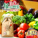 【ふるさと納税】【シェフの目線】 旬の 野菜セット ×白米 5kg 【ふるさと納税限定】 農薬 不使用 詰め合わせ 野菜 白米 お米 新鮮 \レビューキャンペーン中/愛媛県大洲市/有限会社ヒロファミリーフーズ [AGBX009] 24000円 24000 二万四千 二万四千円