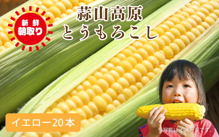 蒜山高原 とうもろこし イエロー20本 / 数量限定 人気 朝採り 新鮮 スイートコーン トウモロコシ 高糖度 甘い 夏野菜 岡山県 真庭市 産地直送 ギフト  【配送不可地域：北海道・沖縄県・離島】 (corn7) 【jujiya039】