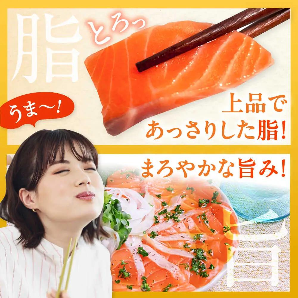 玄海サーモン柵80g×6袋 / 佐賀県 / 株式会社九州特産品販売 [41AECT008]