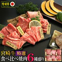 【ふるさと納税】宮崎牛 特選 食べ比べ焼肉6種盛り 合計600g(各100g) 国産 送料無料