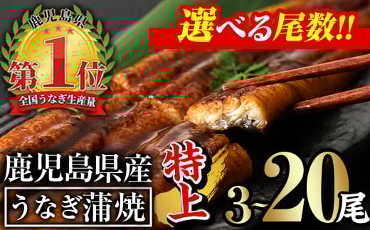 
            ＜尾数が選べる！＞無投薬！鹿児島県産うなぎ蒲焼セット＜特上＞(計480g以上～計3.2kg以上・ 160g以上×3尾～20尾)タレ・山椒付き 鰻 ウナギ 国産【西日本養鰻】
          