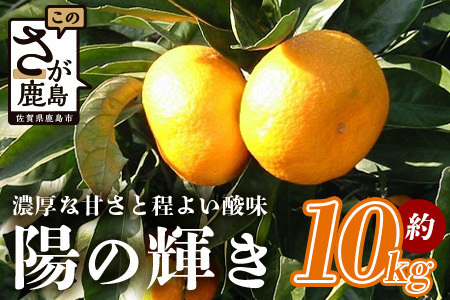   陽の輝き（みかん） 約10kg 佐賀県産 ブランド みかん 温州ミカン 光センサー選別 みかん 濃厚な甘さ ほどよい酸味 みかん B-188 