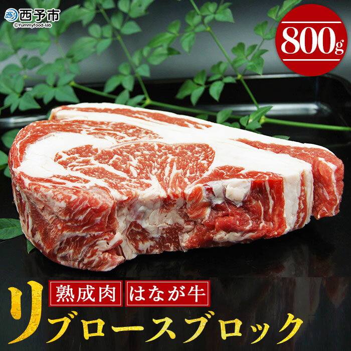 【ふるさと納税】＜熟成肉 はなが牛リブロースブロック 800g＞ 牛肉 ステーキ 鉄板焼き 焼き肉 国産 塊肉 かたまり 霜降り しもふり バーベキュー BBQ キャンプ アウトドア 特産品 ゆうぼく 愛媛県 西予市【冷凍】『2か月以内に順次出荷予定』