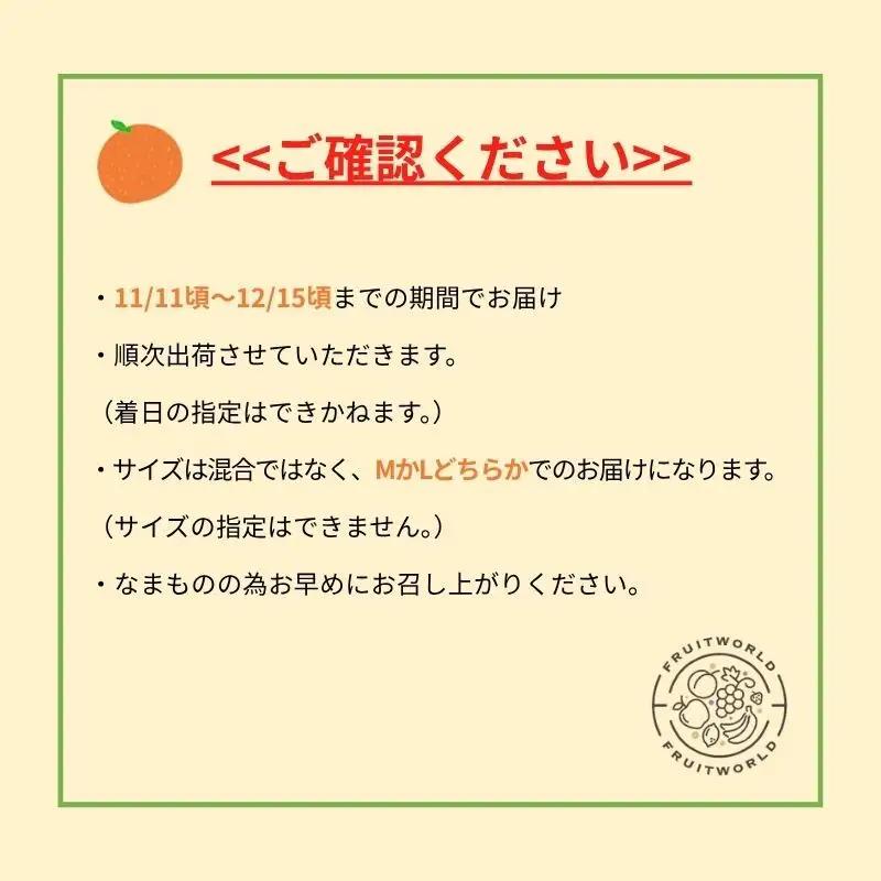 みかん 訳あり 早生 4kg 蜜柑 ミカン 果物 くだもの みかん