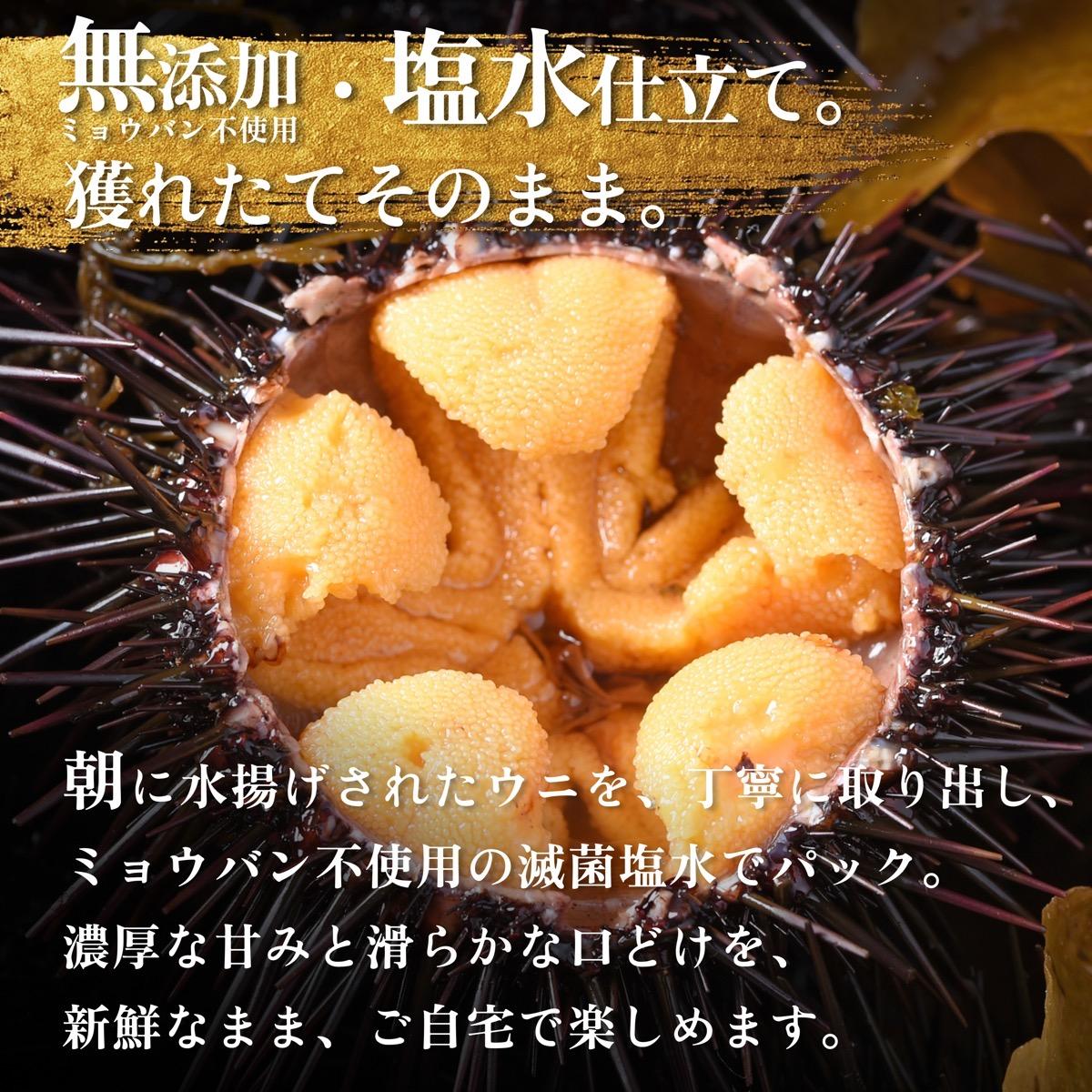 利尻島産 塩水 生うに むらさきうに90g×1■2025年6月より順次出■ 先行受付 ウニ 利尻 