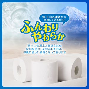 定期便 全6回 トイレットペーパー エコロジー ダブル 12ロール2パック エンボス 消臭 ベビーローズの香り 再生紙 環境に優しい SDGs 無地 無色 備蓄 日用品 消耗品 生活用品 毎月発送 富