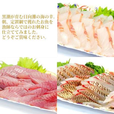 ふるさと納税 延岡市 大和海商 こだわり漁師のお刺身 4人前 |  | 01