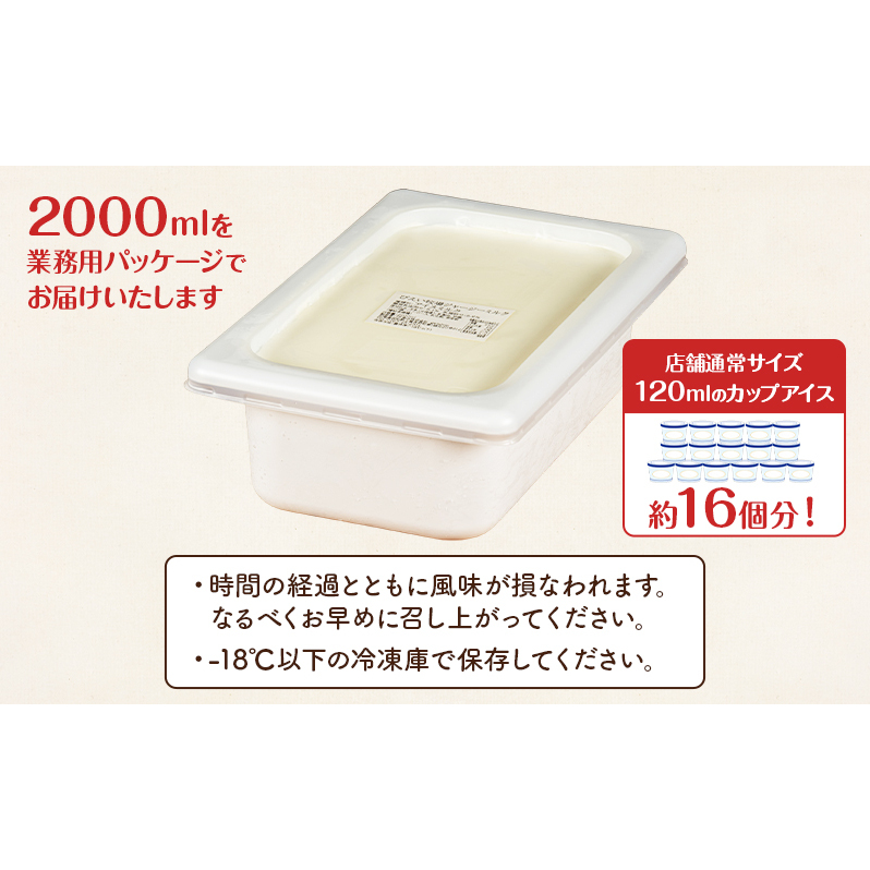 業務用 ジェラート ソルベ 2L フレッシュイチゴ 大容量 アイス デザート スイーツ ミルク 牛乳 北海道 上富良野町_イメージ2