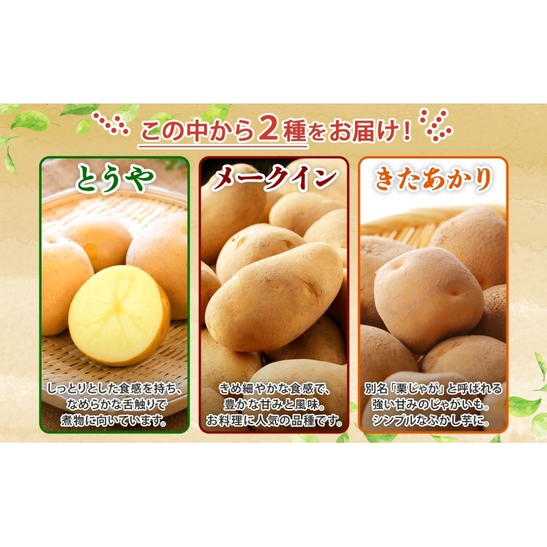 北海道産 じゃがいも 2種 約10kg とうや メークイン 北あかり ジャガイモ 馬鈴薯 ポテト 芋 イモ 先行受付 産地直送 野菜 農作物 甘い ホクホク カレー コロッケ 人気 ふじいファーム
