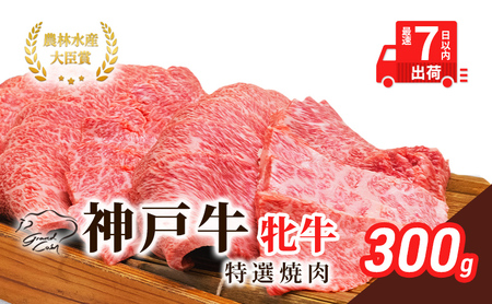 神戸ビーフ 神戸牛 牝 特選焼肉 川岸畜産 神戸ビーフ【300g】【冷凍】