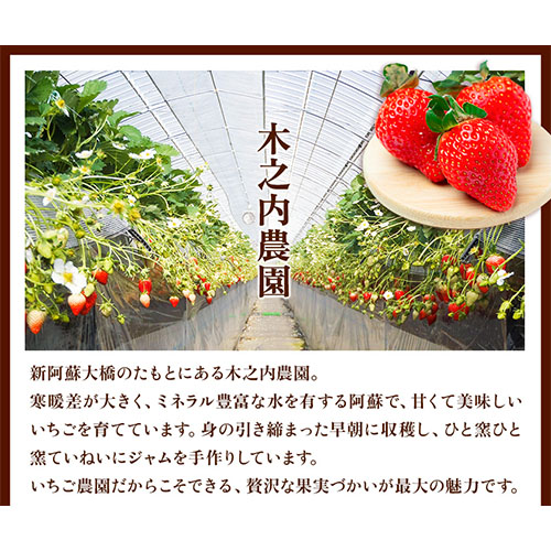 果実ぎっしり！木之内農園の手作りいちごジャムとブルーベリージャム 2kg《60日以内に出荷予定(土日祝除く)》---sms_kinonstbb_60d_22_18000_2kg---