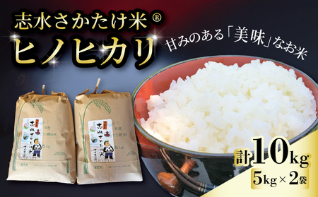 【先行受付】志水さかたけ米R  ヒノヒカリ 10kg 《2025年11月～12月発送》  米 米 米 米 米