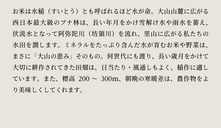 【先行予約】KT-02　大山カラス天狗 大山のこしひかり10kg【令和8年10月以降発送】