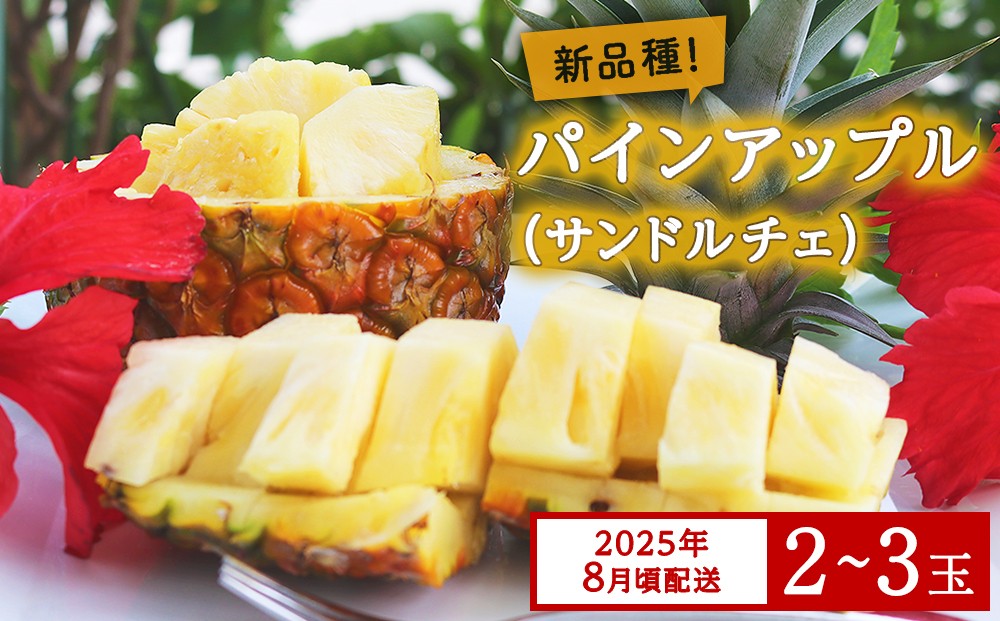 
            【限定100セット】今帰仁産パインアップル（サンドルチェ）2～3玉【2025年8月頃配送】
          