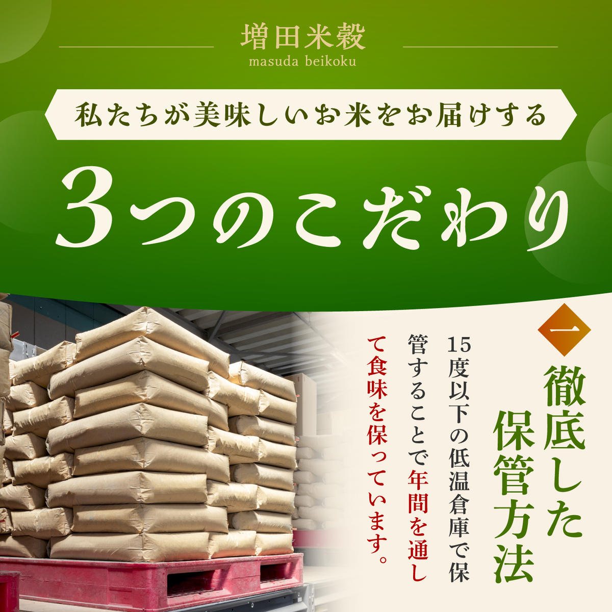 【5kg✕3回定期便】【令和7年産】さがびより 計15kg（5kg✕3回）吉野ヶ里町/増田米穀  [FBM002]