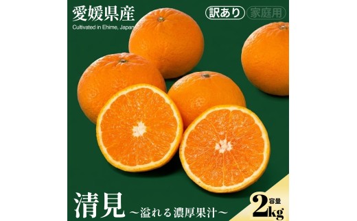 ＜清見（訳あり）合計約2kg＞『2027年2月下旬～3月下旬迄に順次出荷予定』訳アリ わけあり きよみ キヨミ オレンジ 蜜柑 ミカン 果汁 果物 くだもの フルーツ 柑橘 芳醇な香り 季節 旬の果物 特産品 お取り寄せ NOT FARM 愛媛県 西予市 【常温】