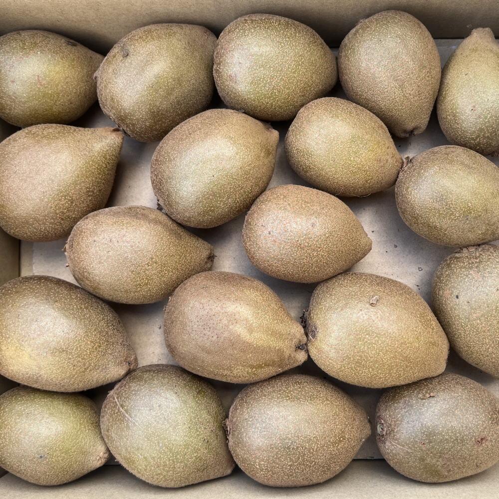 【数量限定】 東京ゴールドキウイ 約2kg サイズ混合★12月上旬頃より順次発送    BZ129_イメージ3
