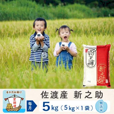 ふるさと納税 佐渡市 【毎月定期便】佐渡島産新之助 無洗米5kg全6回