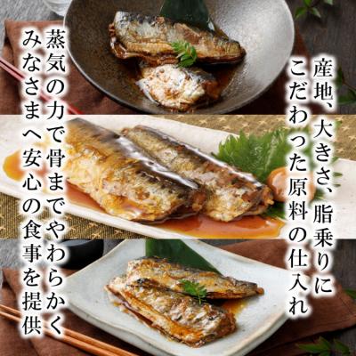ふるさと納税 気仙沼市 12回 定期便 訳あり 業務用 いわし煮魚 総重量 約18kg [気仙沼市 20565565] |  | 03