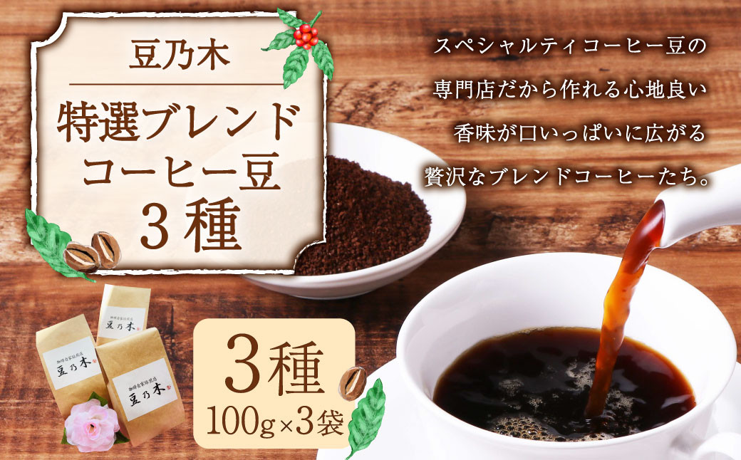 
            豆乃木特選ブレンド コーヒー豆3種セット コーヒー コーヒー豆 コーヒー粉 珈琲豆 珈琲 中挽き 飲み比べ 各100g×3袋 合計約300g 冷蔵 豆の専門店 福岡県 京都郡 苅田町
          