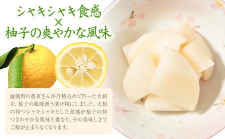 北海道 浦幌産 大根の柚子漬け 900g (300g×3袋) 漬物 ご飯のお供 柚子 浦幌