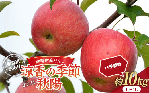 【令和6年産先行予約】 〈訳あり品 家庭用〉 りんご 「涼香の季節または秋陽」 約10kg (28～40玉) バラ詰め 《令和6年9月下旬～10月中旬発送》 『マルタニ農園』 リンゴ 山形県 南陽市 