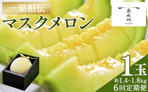 【６回定期便】一果相伝マスクメロン 1玉入り - めろん 青肉 果物 くだもの フルーツ 贈答用 贈答品 贈り物 ギフト お礼 御礼 感謝 お祝い 御祝い 産地直送 新鮮 篤農 高知県 香南市 常温 Wtn-0041