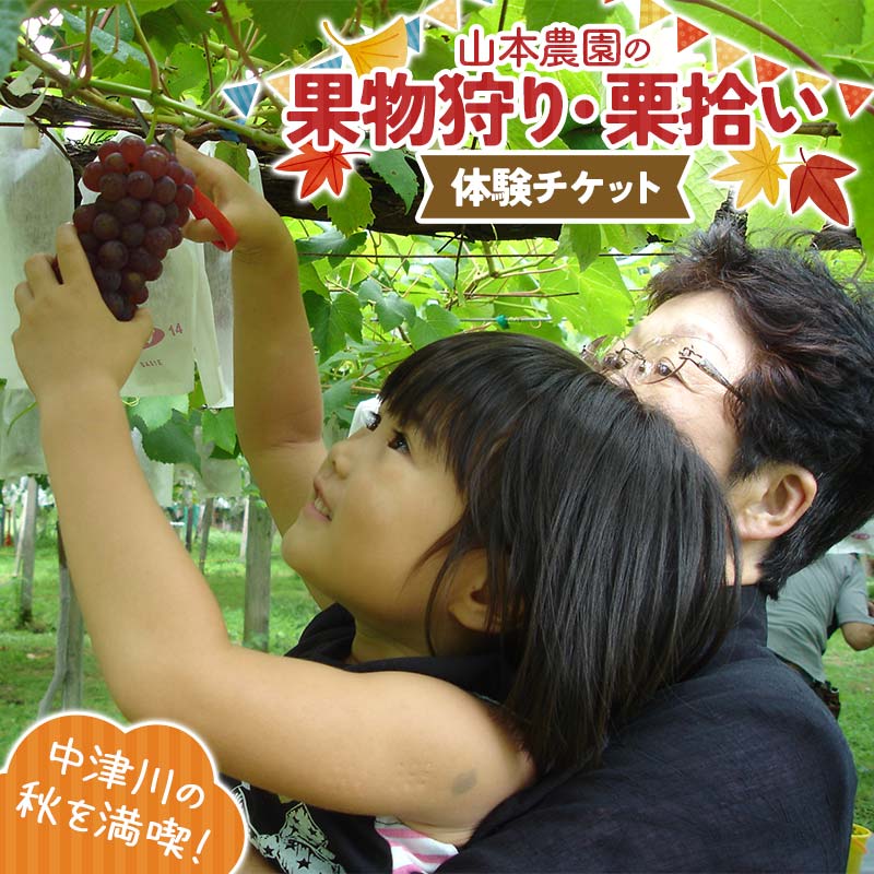 【ふるさと納税】果物狩り、栗拾い体験チケット 山本農園 体験 体験チケット チケット F4N-2516
