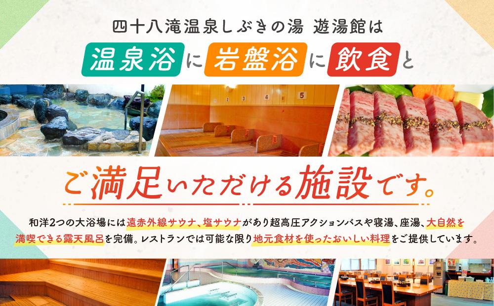 入浴・食事・リラクゼーション・岩盤浴・キャンプ(バンガロー)共通利用券【四十八滝温泉しぶきの湯＋キャンプ場】飛騨国府観光株式会社 EL001