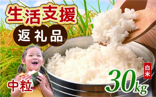 【 訳あり 】 近江ブレンド米 中粒 白米 30kg