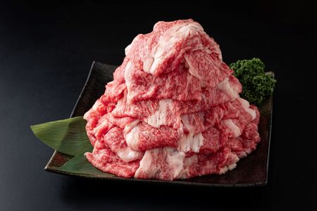 【数量限定】「佐賀牛」切り落とし2000g (500g×4パック）【冷凍配送】レビューキャンペーン開催中！D-620