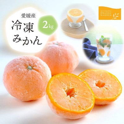 旬のみかんをまるごと冷凍!皮つき冷凍みかん 2kg【C25−105】【配送不可地域：離島】【1412383】