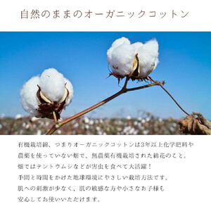 敷きパッド 紀州ネルでつくる日本製コットン敷パッド ダブル